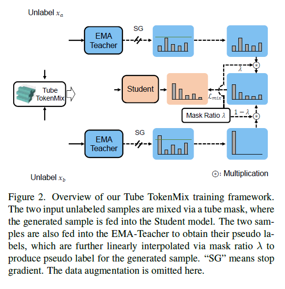 Tube TokenMix训练框架