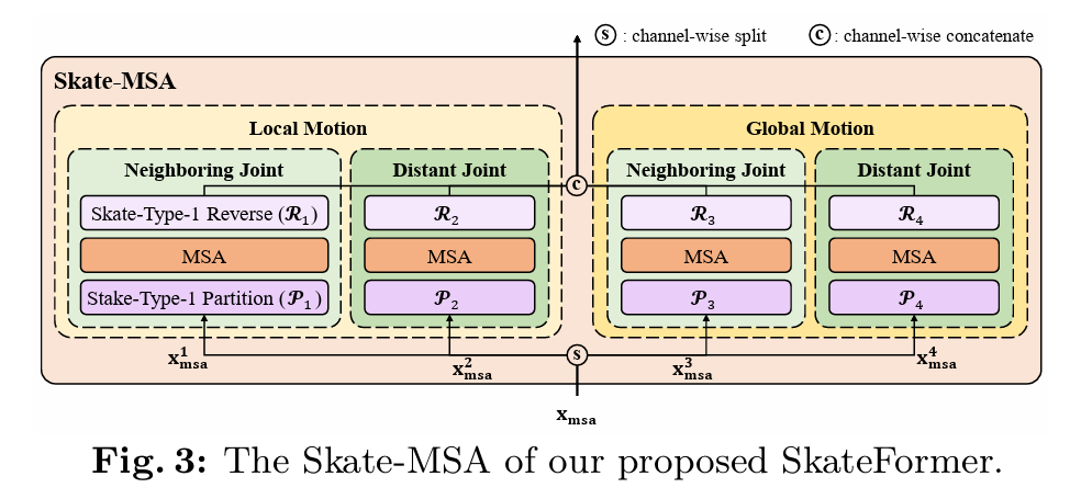 Skate-MSA