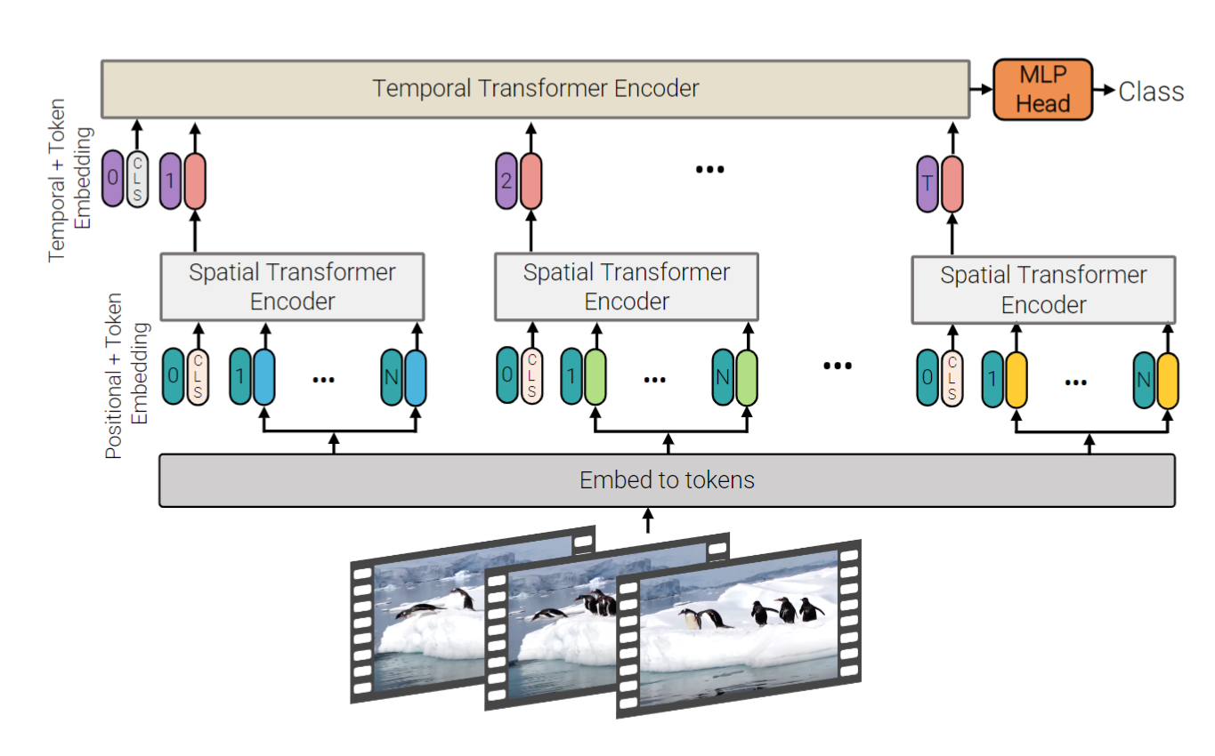 Model 2: Factorised encoder